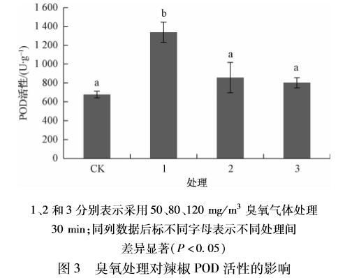 臭氧对辣椒种子萌发及生理指标的影响